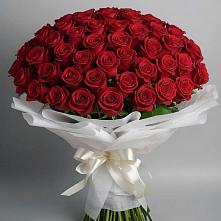 Букет 101 Красная роза Блэк Мэджик в Калниболотской