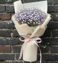 Букет цветов из:  Гипсофила #REPLACE_PRED# Калниболотской