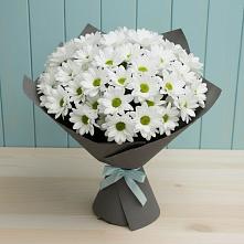 Букет цветов из:  Хризантемы #REPLACE_PRED# Калниболотской