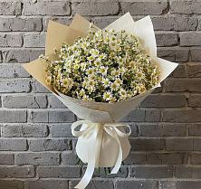 Букет цветов из:  Ромашки в Калниболотской
