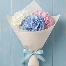 Букет цветов из:  Гортензия в Калниболотской