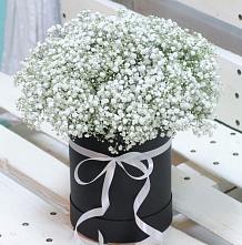 Цветочная композиция из Гипсофила в шляпной коробке #REPLACE_PRED# Калниболотской