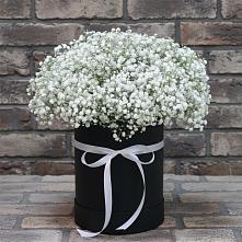 Цветочная композиция из Гипсофила в шляпной коробке в Калниболотской