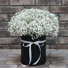 Цветочная композиция из Гипсофила в шляпной коробке в Калниболотской