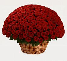 Премиум букет из: Розы в Калниболотской