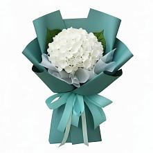 Букет цветов из:  Гортензия в Калниболотской
